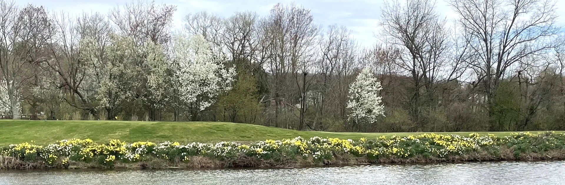 Flowers blooming during Spring at Herhsey's Mill