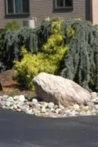 Landscaping at Hershey's Mill