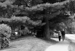1st Place LANDSCAPES Wirstad