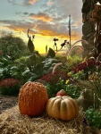 3rd Place LANDSCAPES Mariani