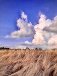 3rd Place SKYSCAPES Day, E.