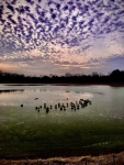 HM LANDSCAPE Day, E.