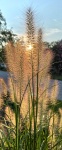 HM PLANTS Coldwell
