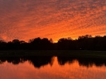 HM SKYSCAPES Kind